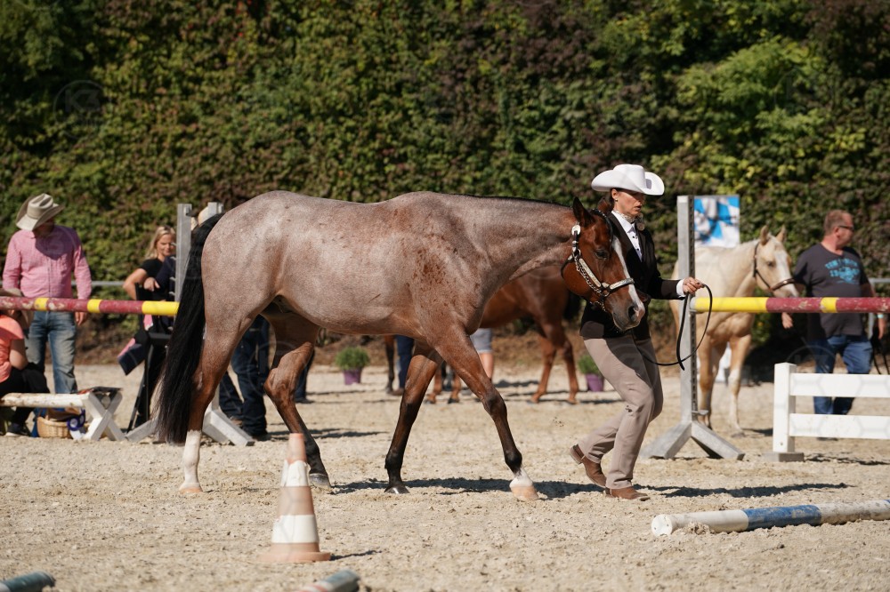 s_A_907617.JPG